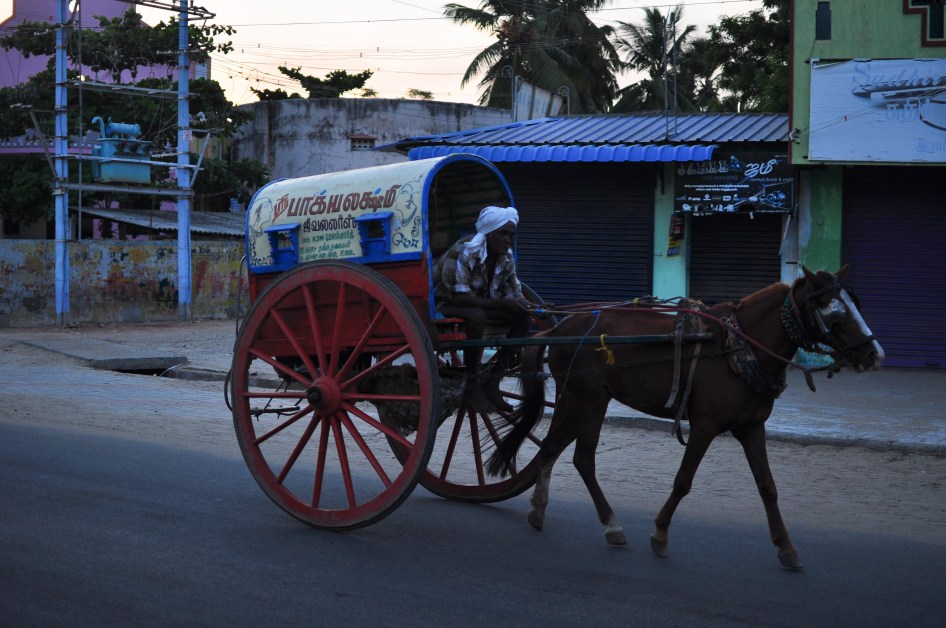 08082015-Rameswaram (9)