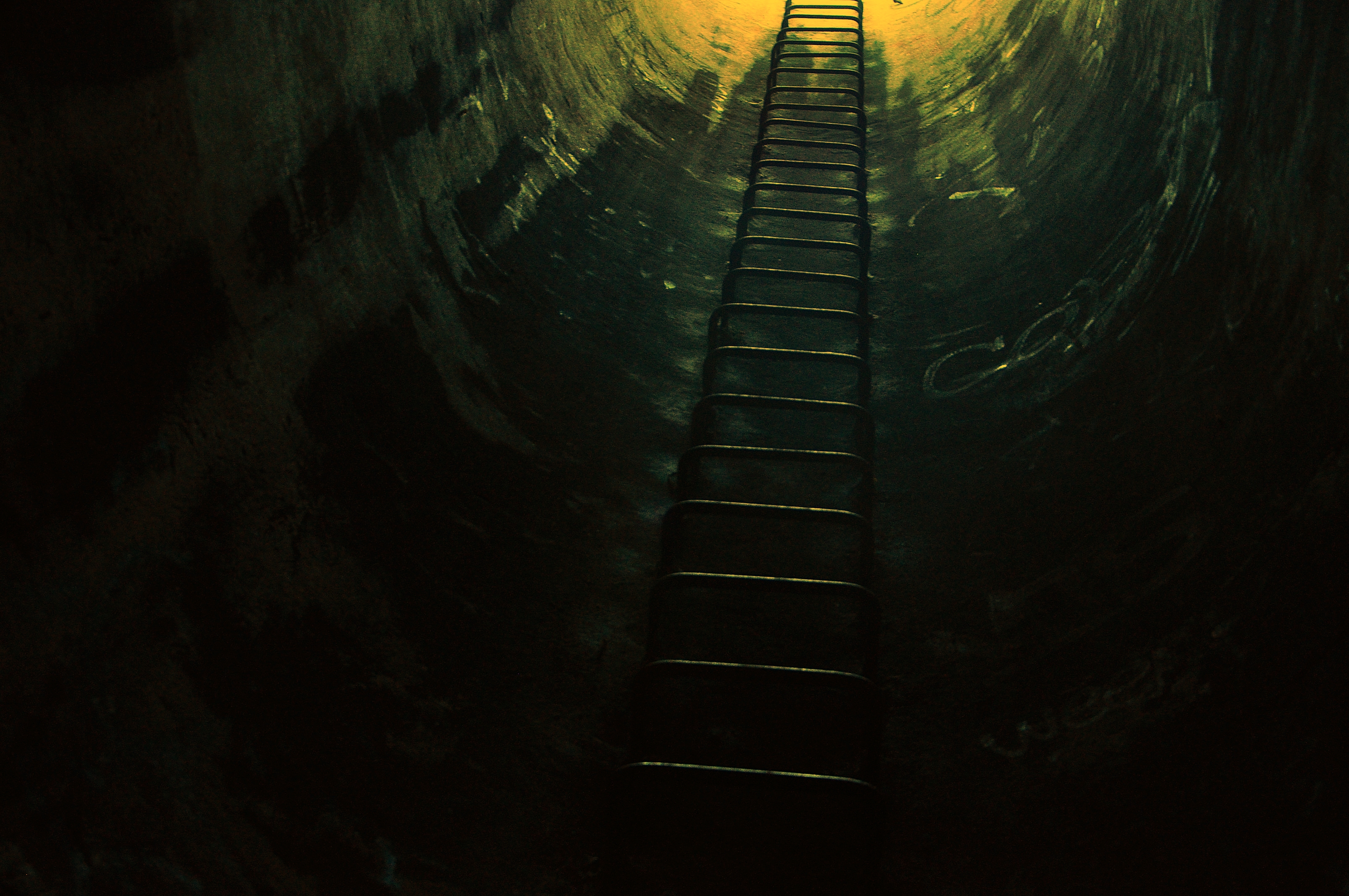 15932215711_9ab090922a_o